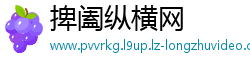 捭阖纵横网